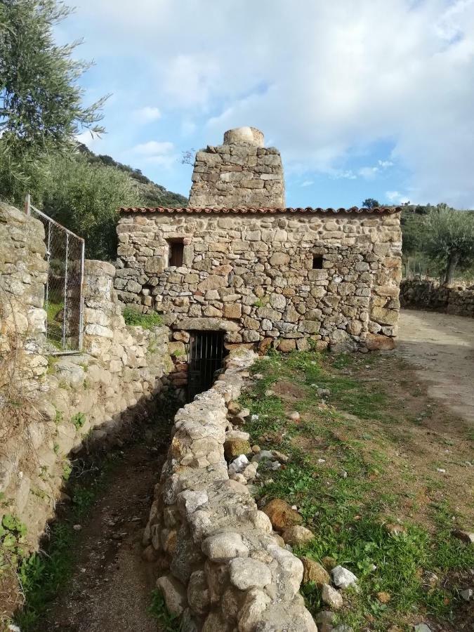 Апартаменти La Casina De Carmina Arroyomolinos de Montanchez Екстер'єр фото